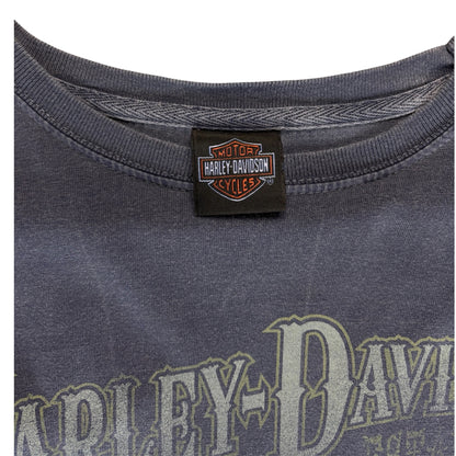 Vintage Distressed Harley Davidson Longsleeve Size S
